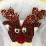 Reindeer Funeral Tribute Xmas